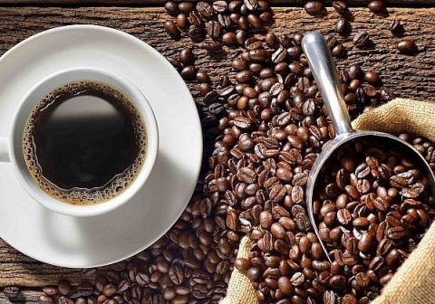 [Market News] Ấn Độ và Việt Nam có thể dẫn đầu tăng trưởng tiêu thụ cà phê của châu Á