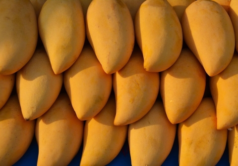 [Healthcare Trend] 10 lợi ích sức khỏe bất ngờ từ quả xoài