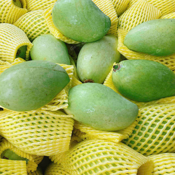 Xoài Cát Chu Xanh