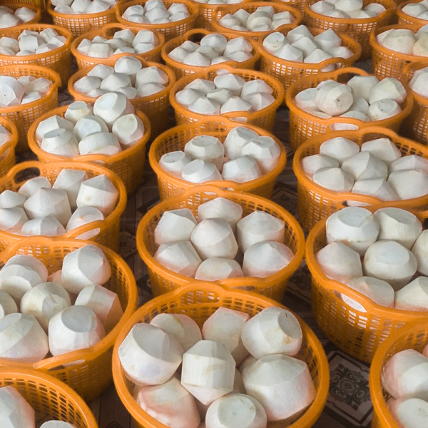 Dừa Gọt Kim Cương