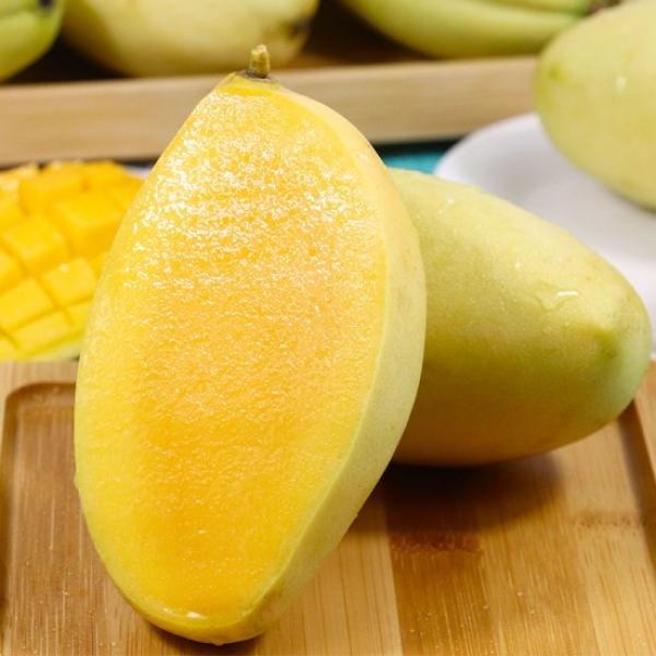 Xoài Cát Chu Vàng