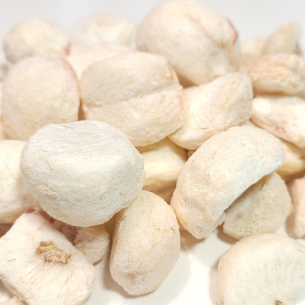 Măng Cụt Sấy Thăng Hoa