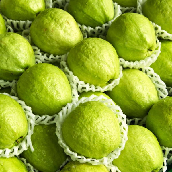 Ổi Nữ Hoàng